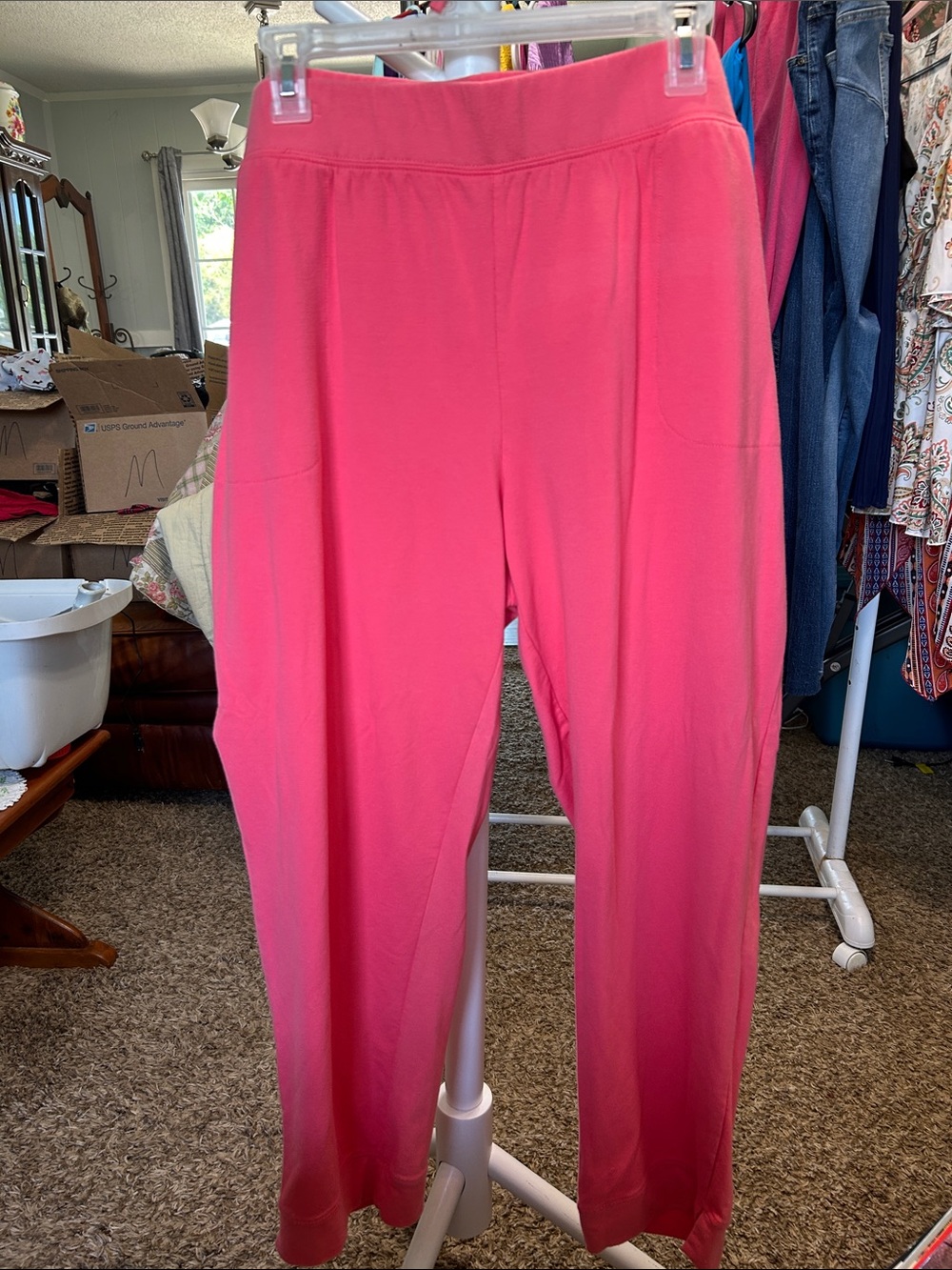 Straight-Leg Pull-On Pants in Coral Size 2X